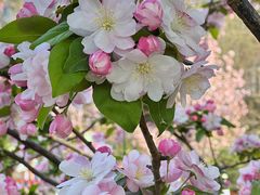 -元大都城垣遗址公园