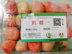 -浦东食品城(华诚大厦店)