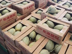 -西郊国际农产品交易中心
