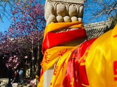 -潭柘寺景区
