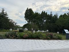 -天鹅湖体育公园