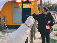 -前小桔亲子创意农场·草莓采摘·露营烧烤