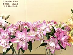 -中国农业博物馆