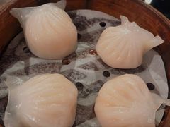 水晶虾饺皇-金翠河烧鹅餐厅(北城天街店)