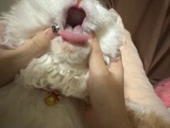 -联合动物医院(光谷诊疗中心)