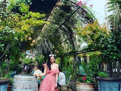 -The Grounds of Alexandria