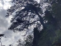 -塔云山