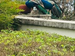 -杭州千岛湖开元度假村