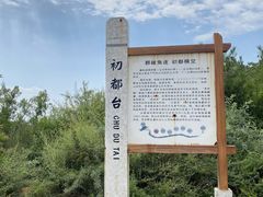 -五龙城郊森林公园