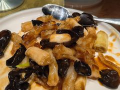 葱烧蹄筋-崔义清鲁菜馆(大明湖店)