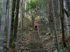 -岣嵝峰国家森林公园