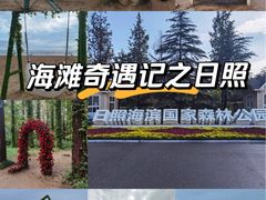 -日照海滨国家森林公园