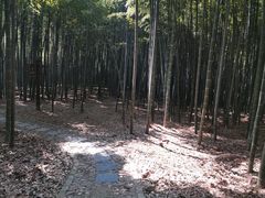 -虞山风景区