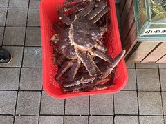 -海天花园酒家