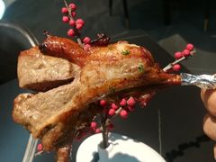 -鑫悦诚府·新鲁菜·餐厅(趵突泉店)