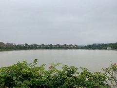 -美的鹭湖森林度假区