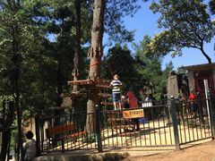 -梦幻奥陶纪景区