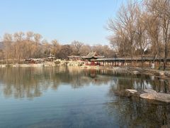 -张娜绿豆饼(老军营店)