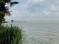 -上海美帆帆船露营基地