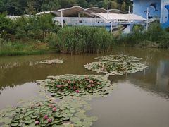 -无锡动物园·太湖欢乐园