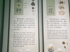 -中国茶叶博物馆(双峰馆区)