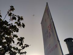 -嘉定紫藤园