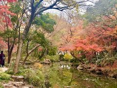 -秋霞圃