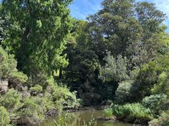 -墨尔本皇家植物园