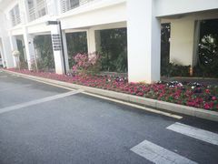 -厦门悦华酒店