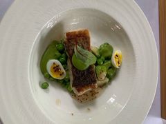 -蝶舍·MAISON PAPILLON