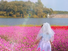 -黄山鲁森林公园
