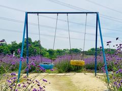 -紫颐香薰山谷景区