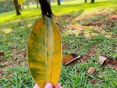 -白沙门生态公园