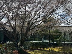 -宇治市源氏物语博物馆