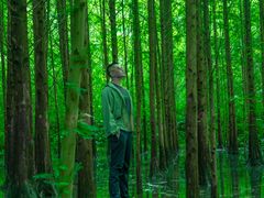 -桤木河湿地公园