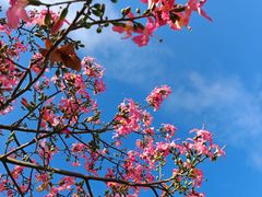 -秦园陕西手工面馆(番禺节能科技园店)