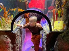 -沈阳海洋探索中心