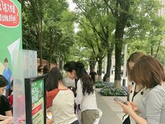 -铁像寺水街