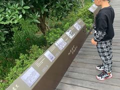 -昆山城市生态森林公园