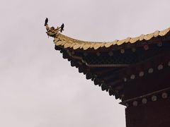 -四川郎木寺镇