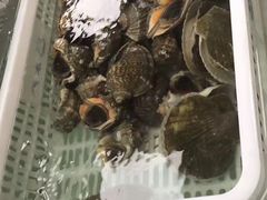 -盒马渔市餐厅