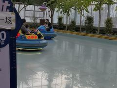 -南宫五洲植物乐园