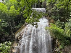 -大围山国家森林公园