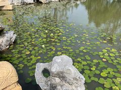 -江心屿景区