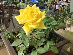 -园林美食城·本土农家菜(杨和镇店)