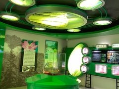 -嘉荫恐龙国家地质公园