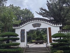 -南山植物园