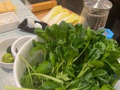 -烹然四季椰子鸡火锅(团结湖总店)