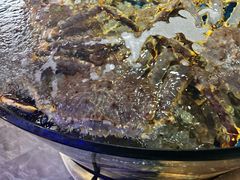 -蟹之国·精品蟹料理(极地店)