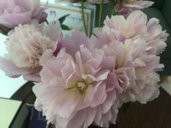 -妈妈时光机医疗产后修复(南山茂业百货店)